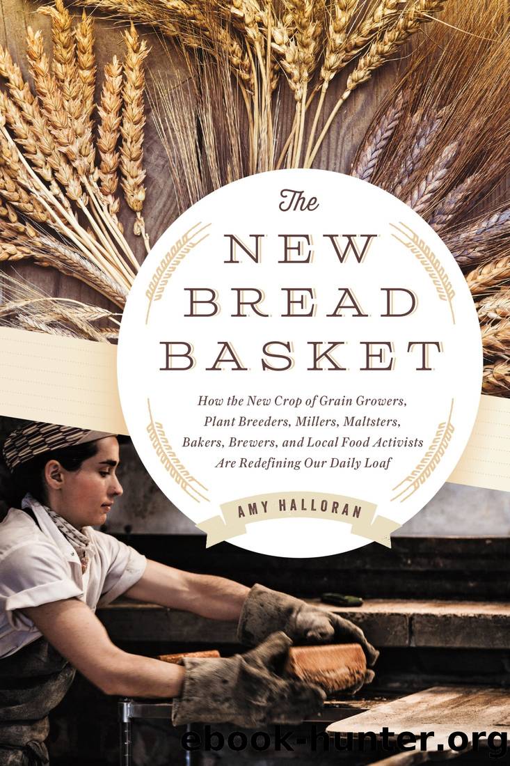 The New Bread Basket: How the New Crop of Grain Growers, Plant Breeders, Millers, Maltsters, Bakers, Brewers, and Local Food Activists Are Redefining Our Daily Loaf by Amy Halloran