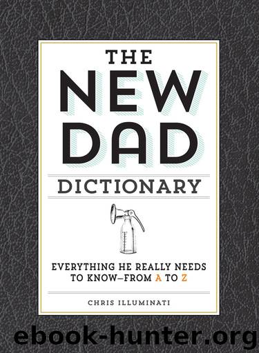 The New Dad Dictionary by Chris Illuminati
