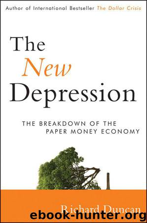 The New Depression: The Breakdown of the Paper Money Economy by Duncan Richard