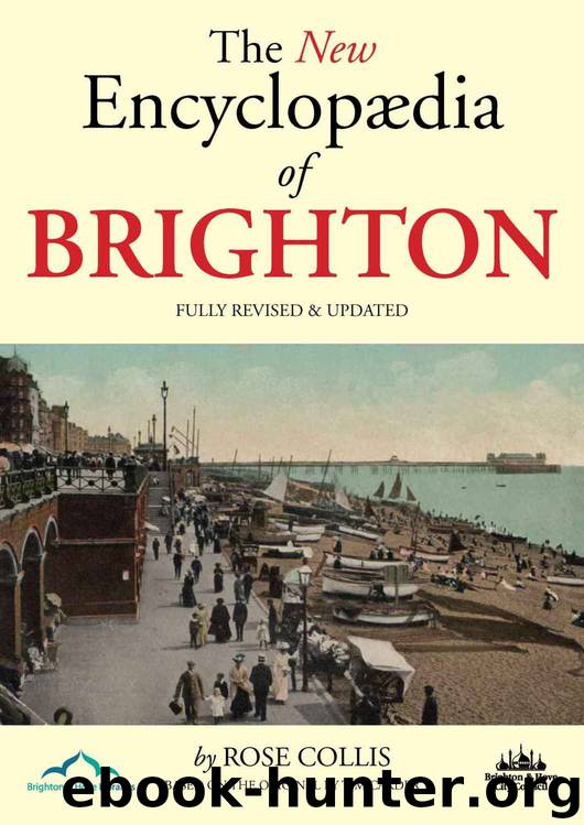The New Encyclopaedia of Brighton by Tim Carder & Rose Collis