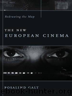 The New European Cinema by Galt Rosalind;