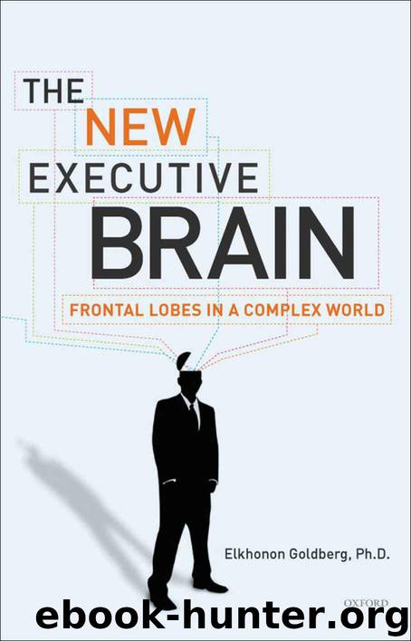 The New Executive Brain by Goldberg Elkhonon
