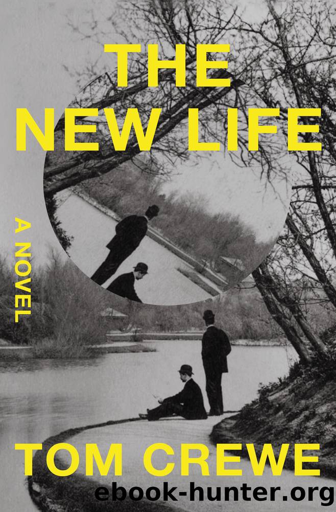The New Life by Tom Crewe