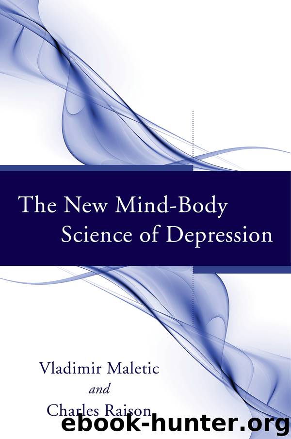The New Mind-Body Science of Depression by Vladimir Maletic