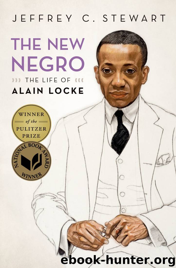 The New Negro by Jeffrey C. Stewart