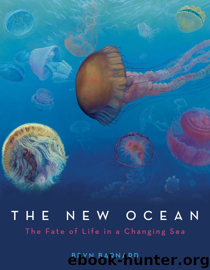 The New Ocean by Bryn Barnard