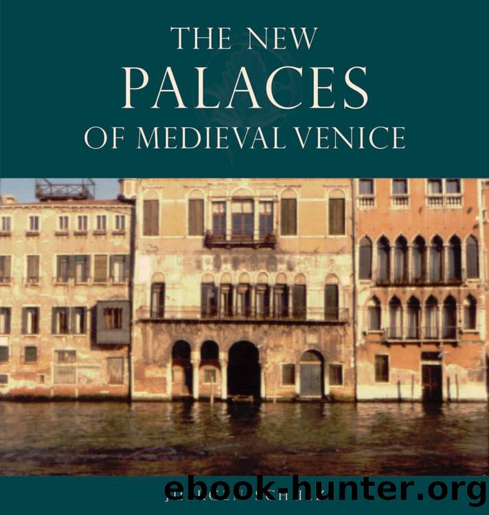 The New Palaces of Medieval Venice by Unknown