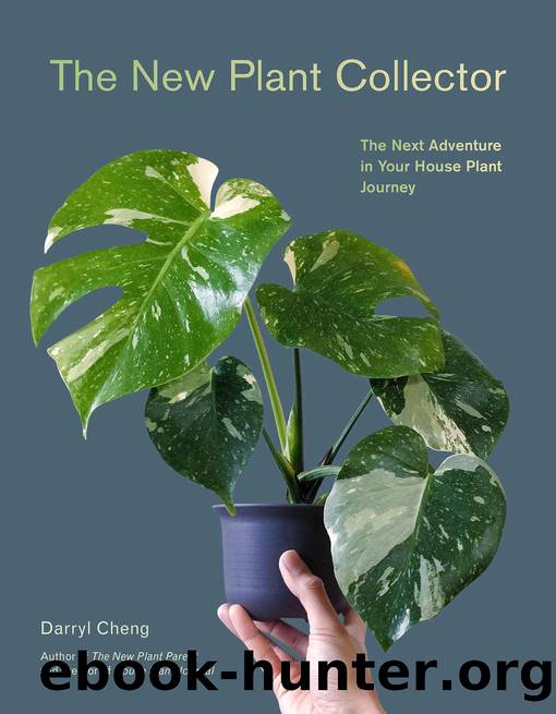 The New Plant Collector: The Next Adventure in Your House Plant Journey by Darryl Cheng