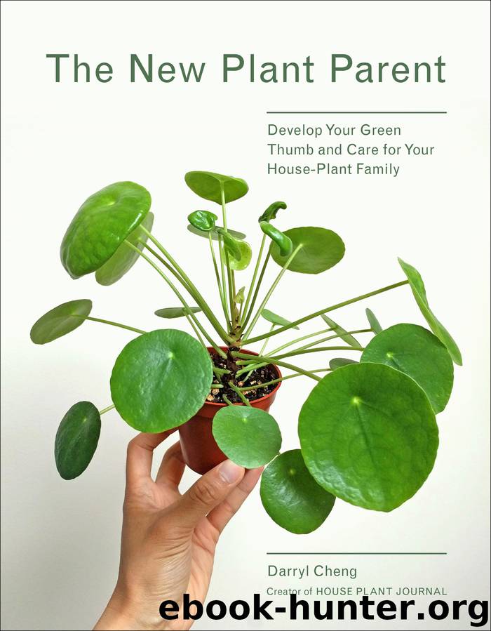 The New Plant Parent by Darryl Cheng