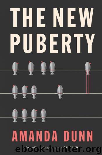 The New Puberty by Amanda Dunn