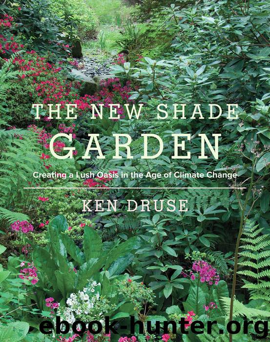 The New Shade Garden by Ken Druse