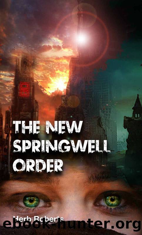 The New Springwell Order by Herb Roberts
