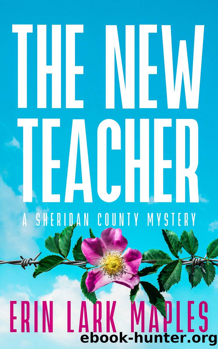 The New Teacher by Erin Lark Maples