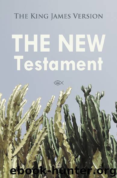 The New Testament by Josh Verbae
