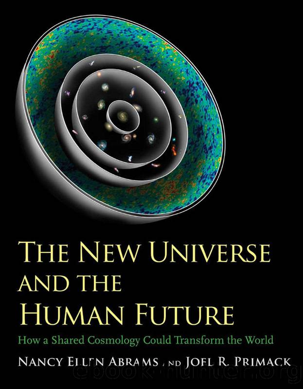 The New Universe and the Human Future: How a Shared Cosmology Could Transform the World (The Terry Lectures Series) by Nancy Ellen Abrams & Joel R Primack