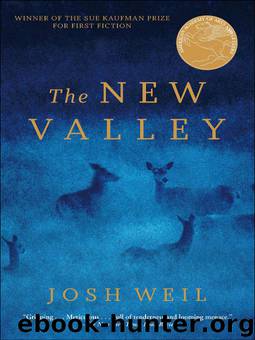 The New Valley by Josh Weil