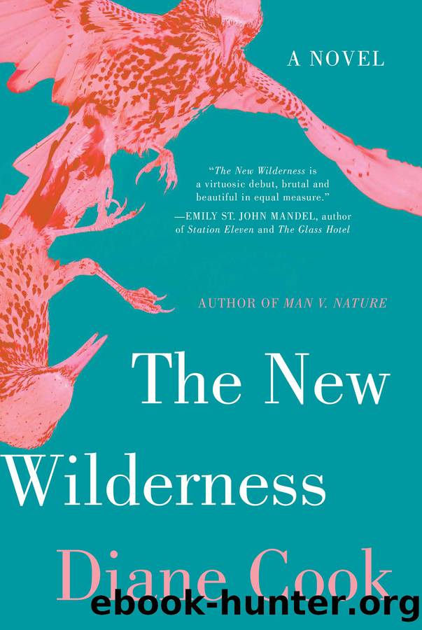 The New Wilderness by Diane Cook