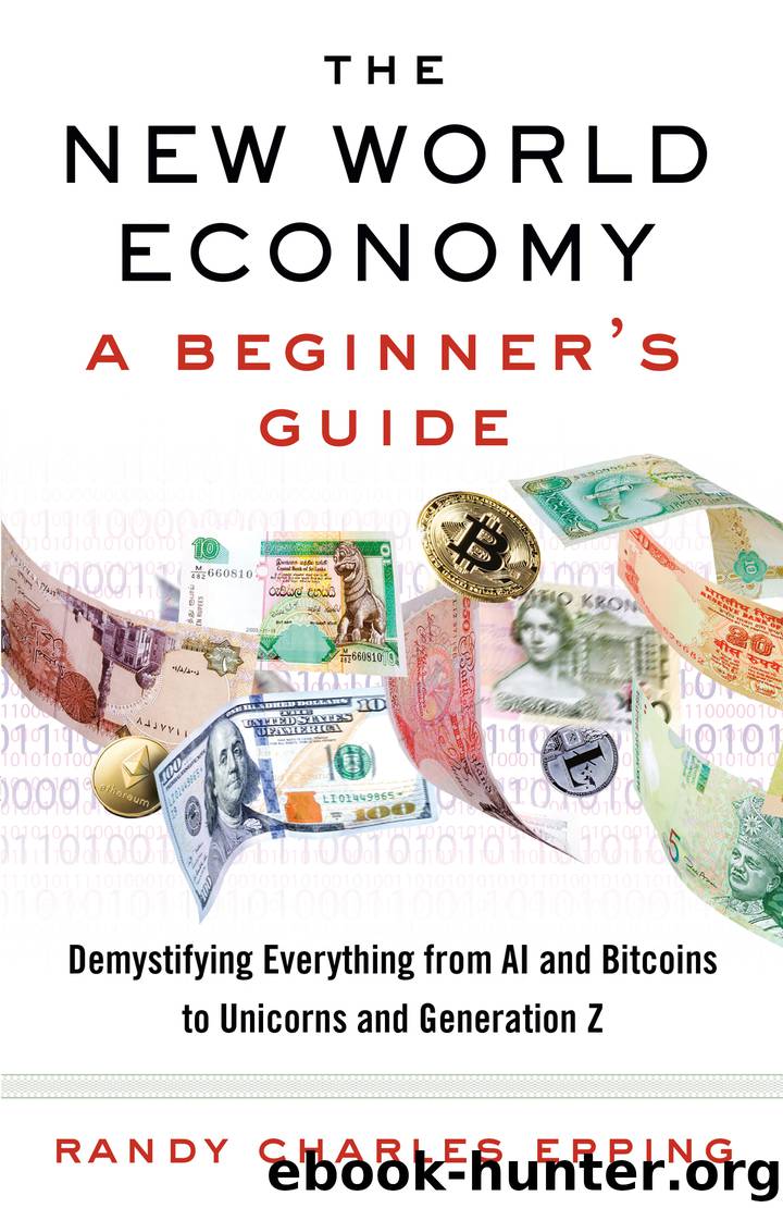 The New World Economy by Randy Charles Epping