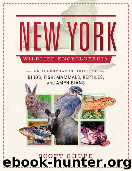 The New York Wildlife Encyclopedia by Scott Shupe
