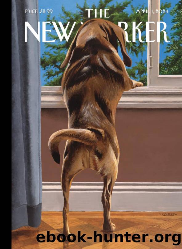 The New Yorker by marooned2