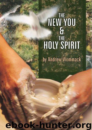 The New You & the Holy Spirit by Andrew Wommack