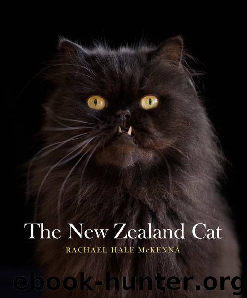 The New Zealand Cat by Rachael Hale McKenna