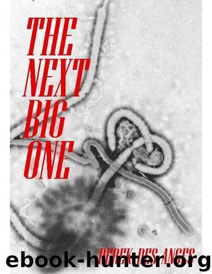The Next Big One by Derek Des Anges