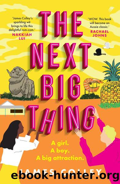 The Next Big Thing by James Colley