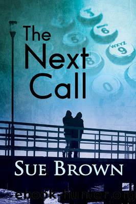 The Next Call by Sue Brown
