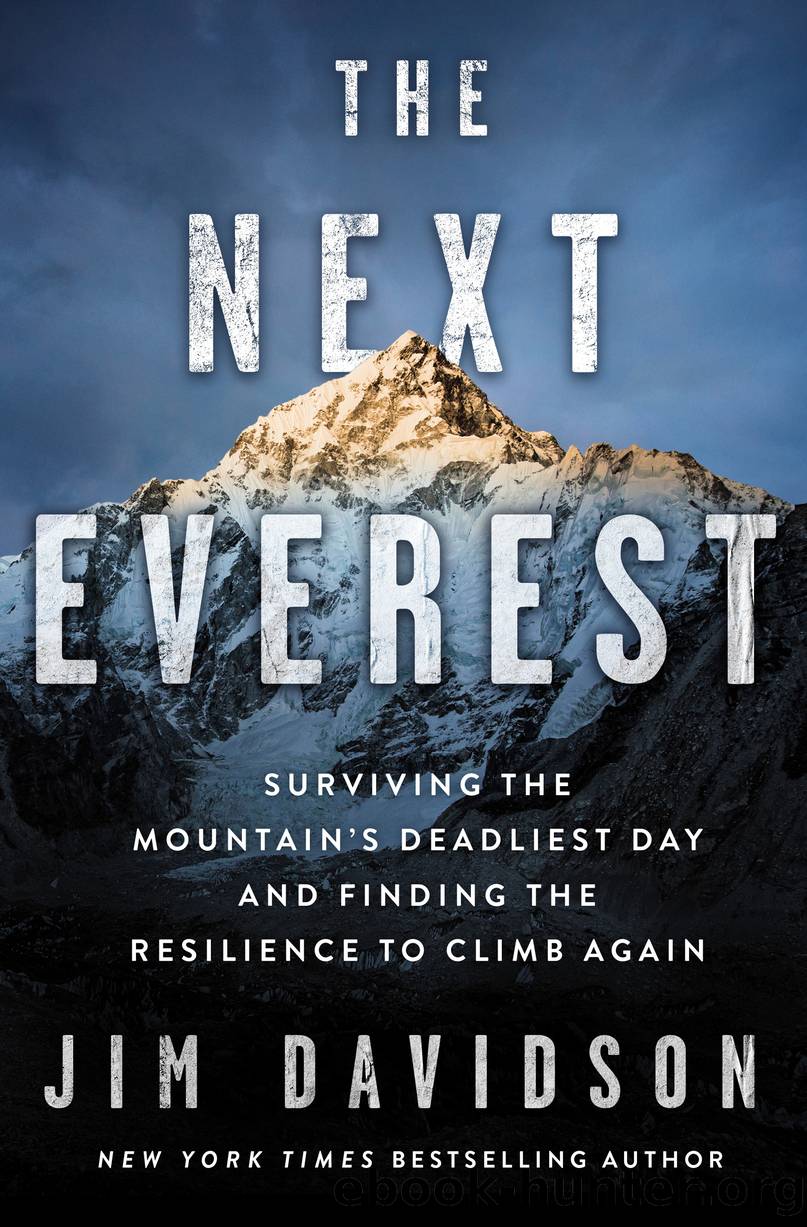 The Next Everest by Jim Davidson