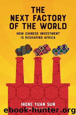 The Next Factory of the World: How Chinese Investment Is Reshaping Africa by Irene Yuan Sun