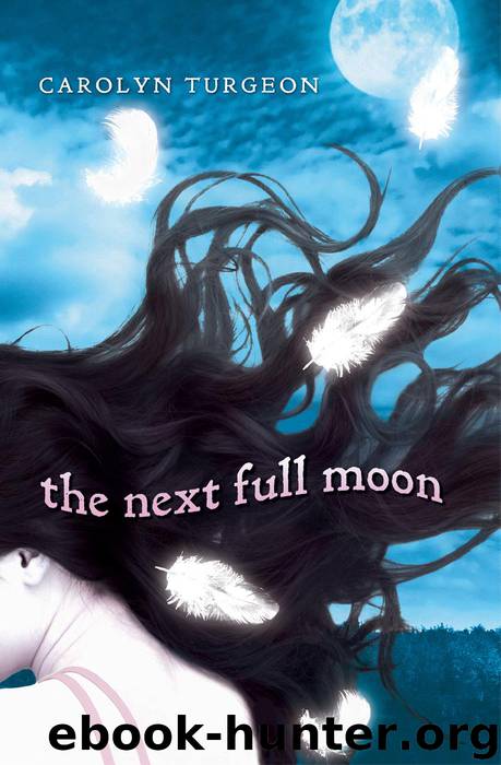 The Next Full Moon by Carolyn Turgeon