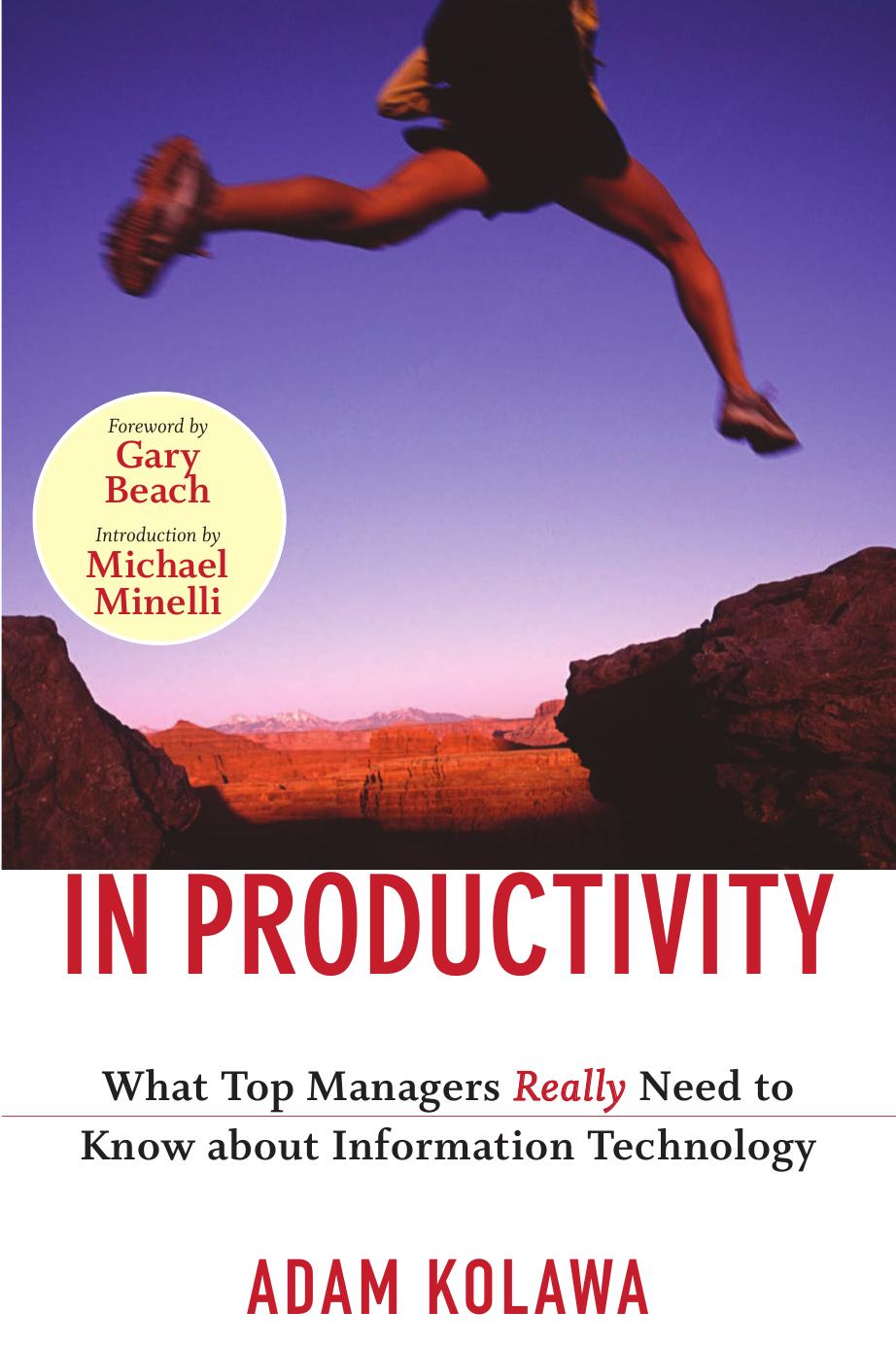 The Next Leap in Productivity: What Top Managers Really Need to Know about Information Technology by Adam Kolawa