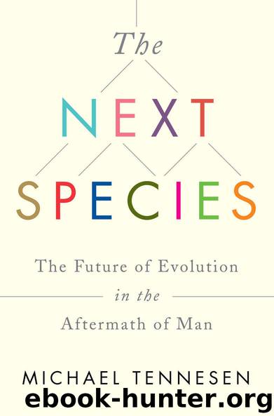 The Next Species: The Future of Evolution in the Aftermath of Man by Michael Tennesen