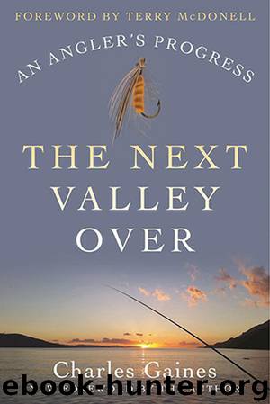 The Next Valley Over by Charles Gaines