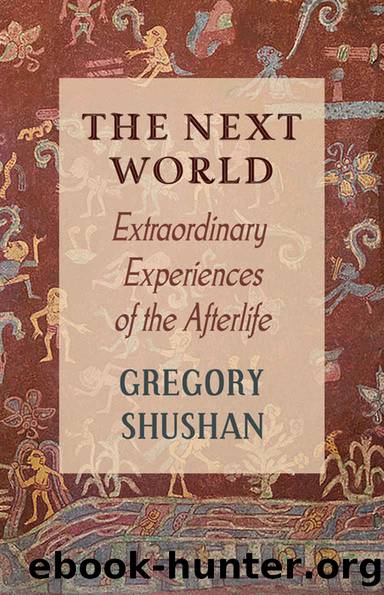 The Next World: Extraordinary Experiences of the Afterlife by Gregory Shushan