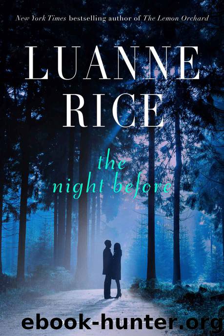 The Night Before by Luanne Rice