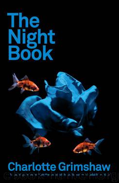 The Night Book by Charlotte Grimshaw