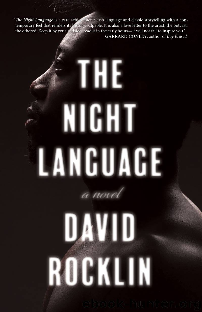 The Night Language by David Rocklin