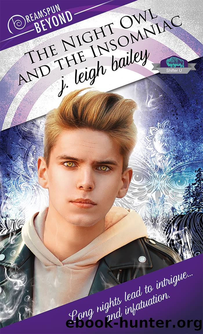 The Night Owl and the Insomniac by J. Leigh Bailey