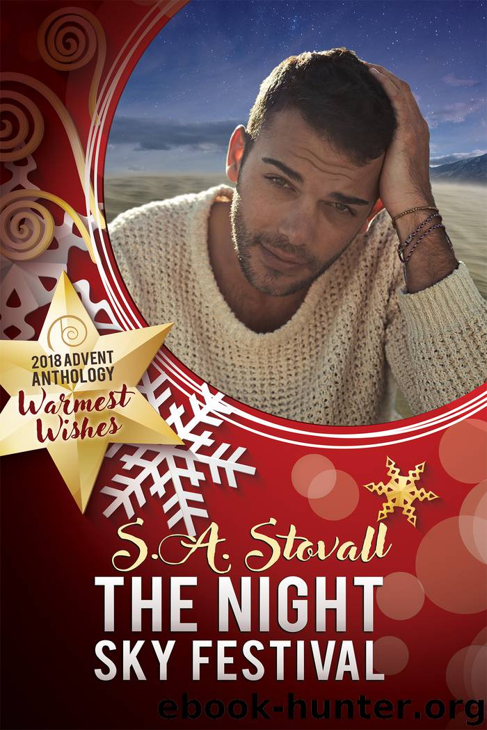 The Night Sky Festival by S A Stovall