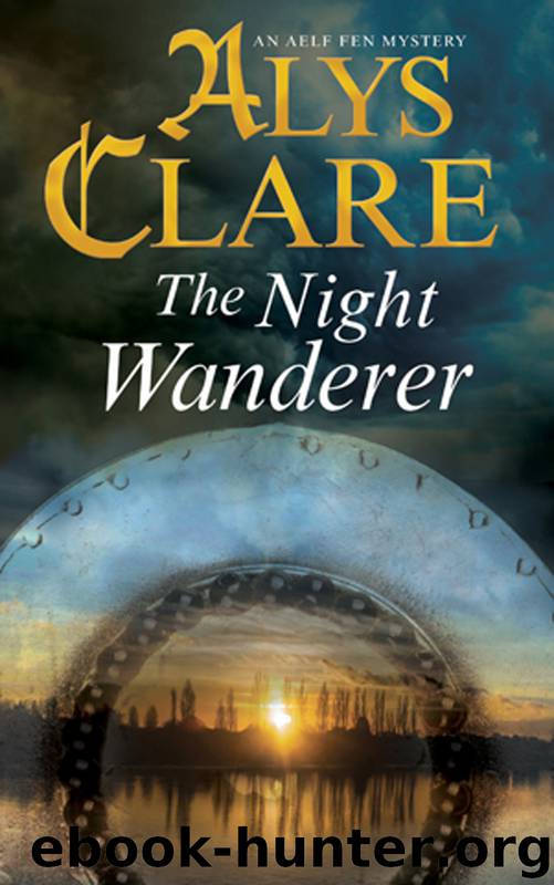 The Night Wanderer by Alys Clare