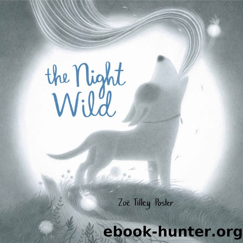 The Night Wild by Zoë Tilley Poster