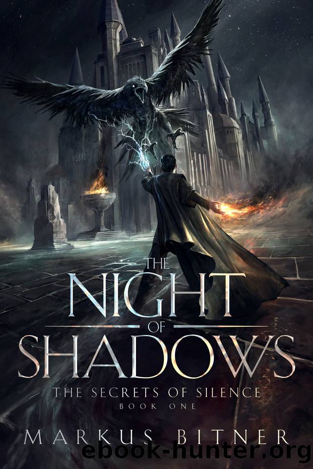 The Night of Shadows by Markus Bitner