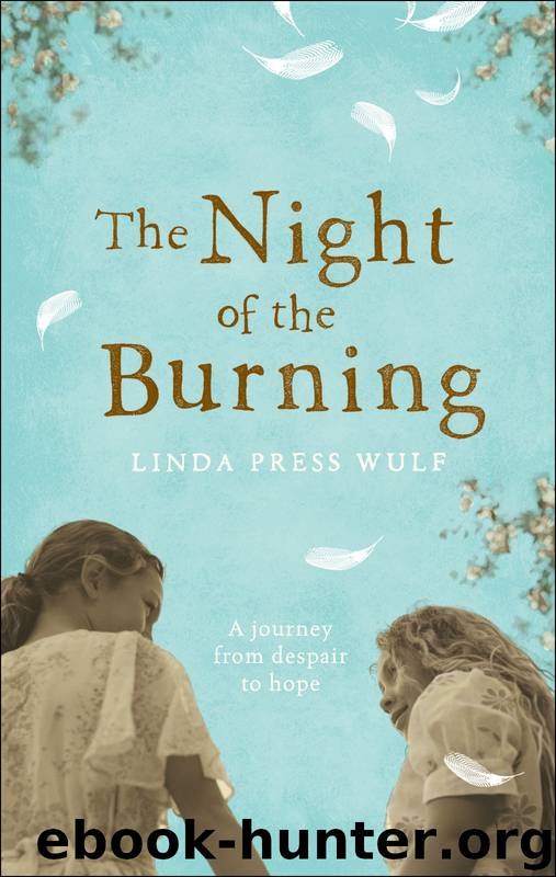The Night of the Burning by Linda Press Wulf