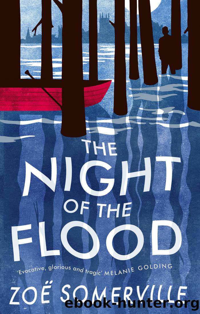 The Night of the Flood by Zoë Somerville