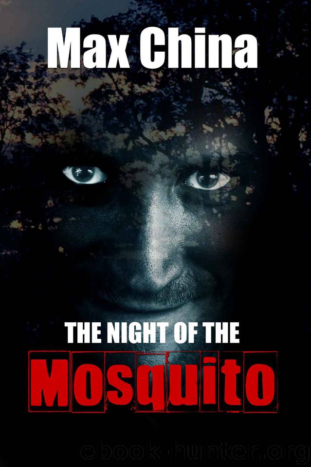 The Night of the Mosquito by Max China