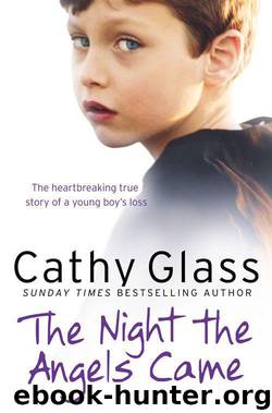 The Night the Angels Came by Glass Cathy