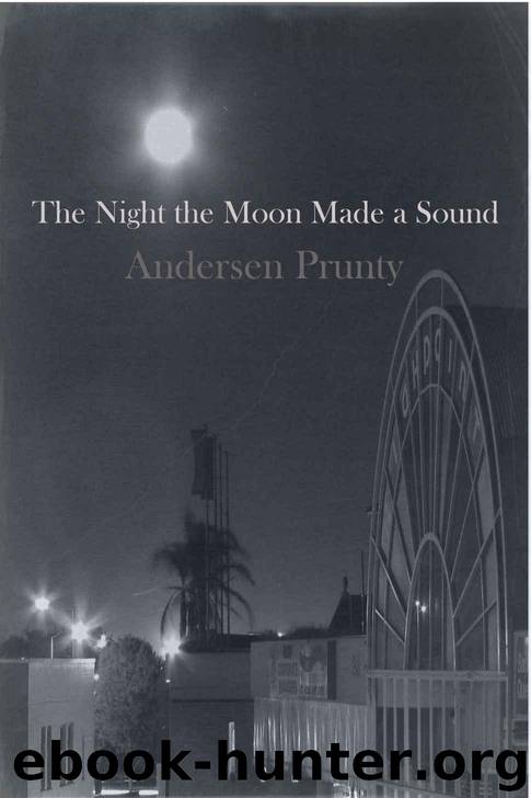 The Night the Moon Made a Sound by Prunty Andersen