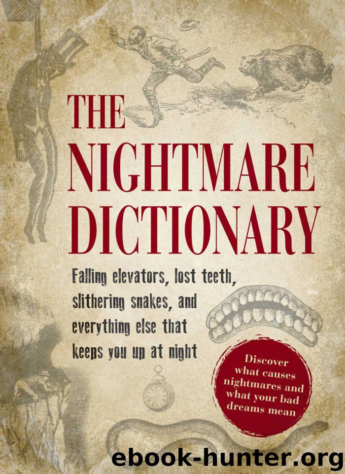The Nightmare Dictionary by Author